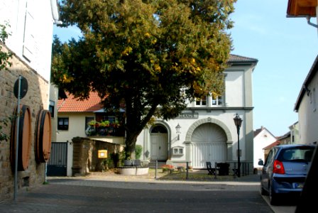 Stein-Bockenheim 21
