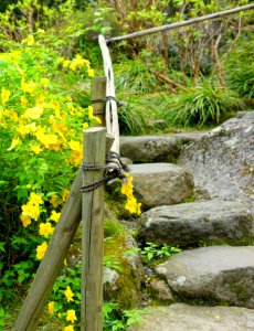 Steps - Hakuun-do Chaen Tearooms - Gora Park - Hakone, Kanagawa, Japan DSC08510