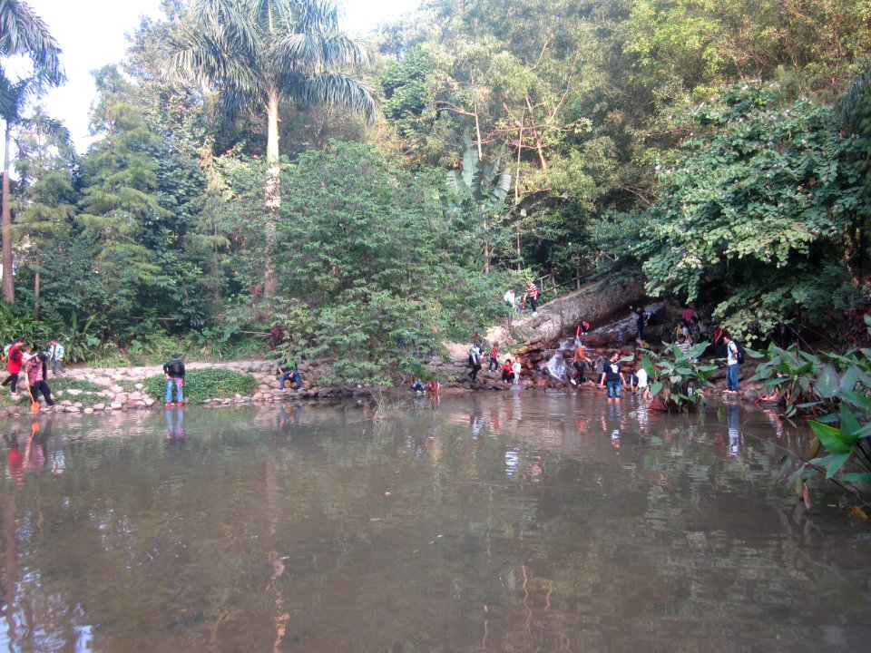 Stepping stones on Water Surface of Mount Yangtai Forest Park6