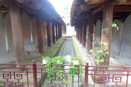 Stelae of Doctors - Temple of Literature, Hanoi - DSC04676