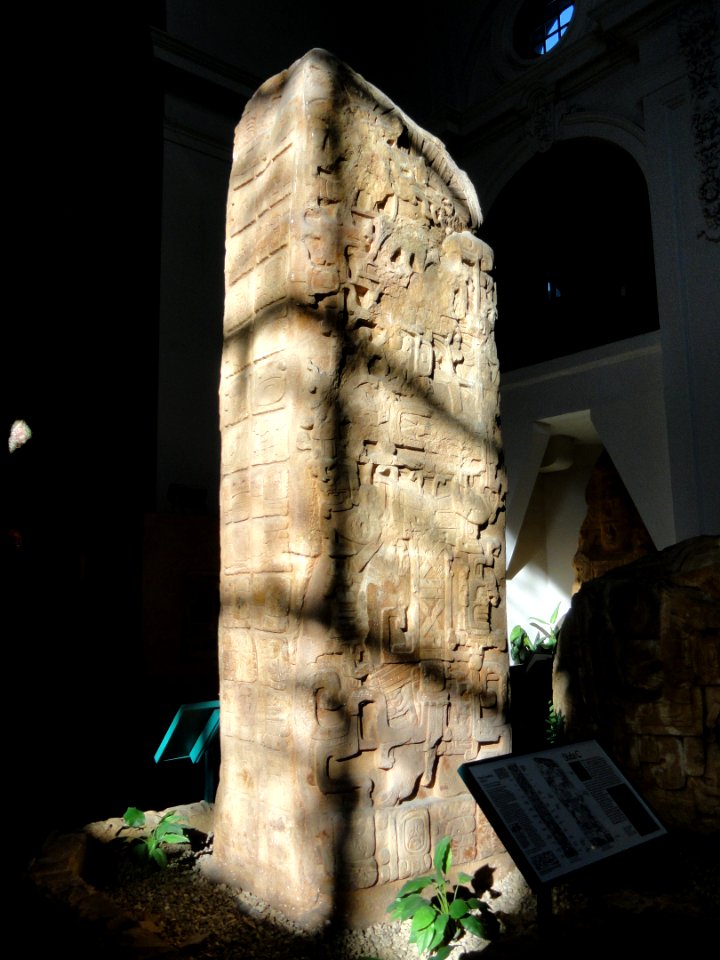 Stela C cast 1 - San Diego Museum of Man - DSC06805
