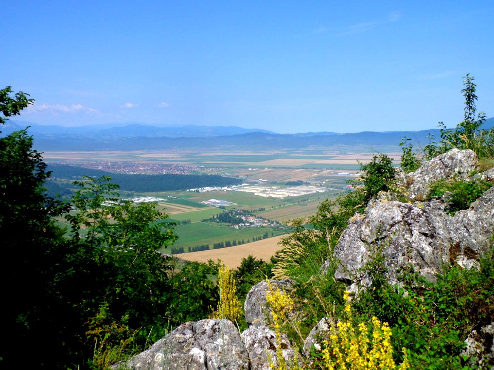 Stejerisul Mare near Brasov