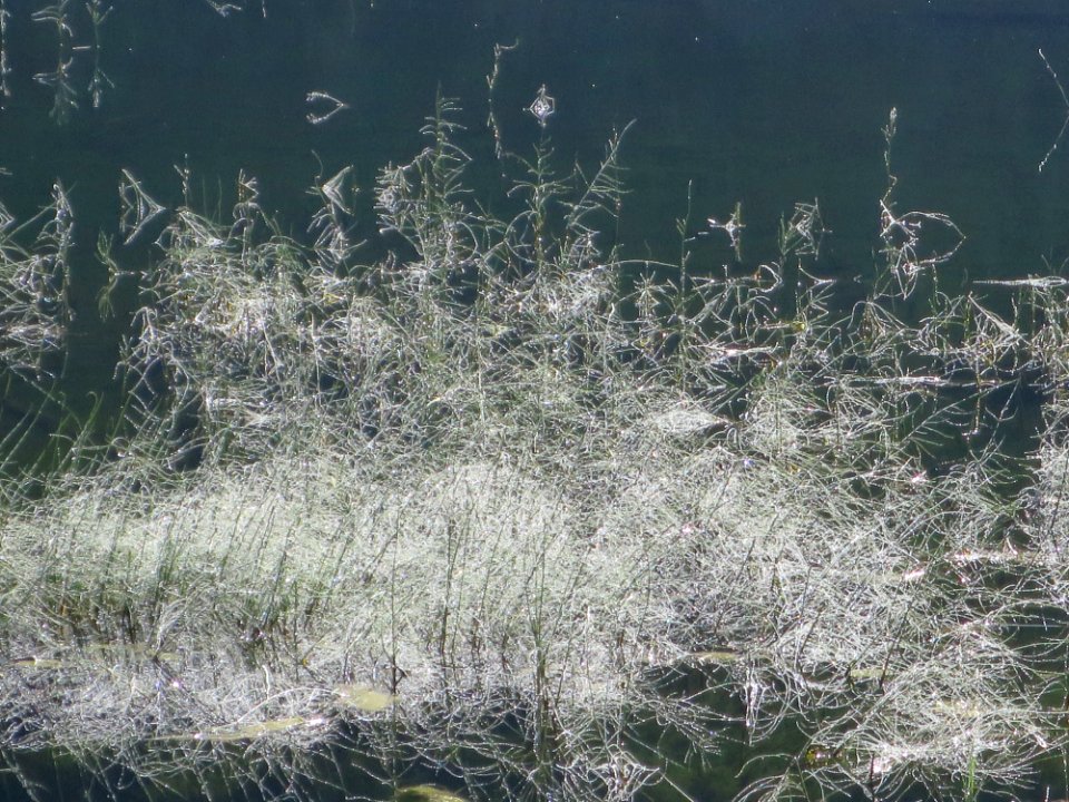 Steirischer Bodensee 1