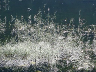 Steirischer Bodensee 1