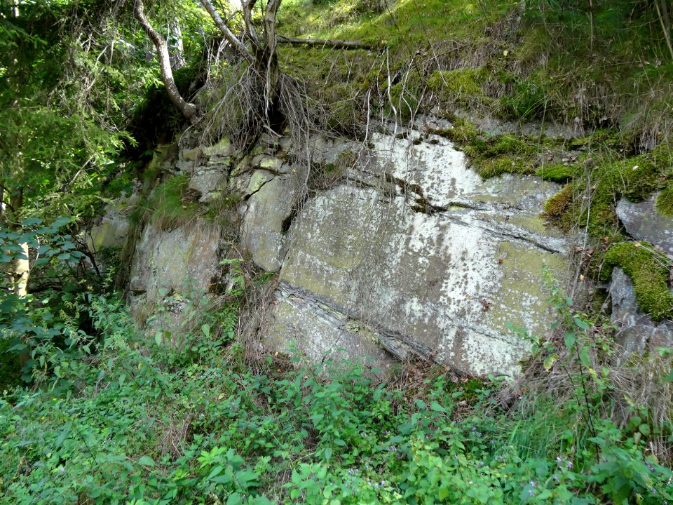 Steinschichten bei Königsthal (Probstzella)