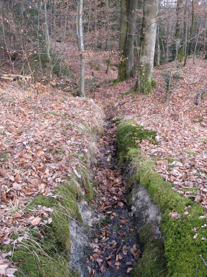 Steinbach (Bühler), rechter Quellast, bei L 2627