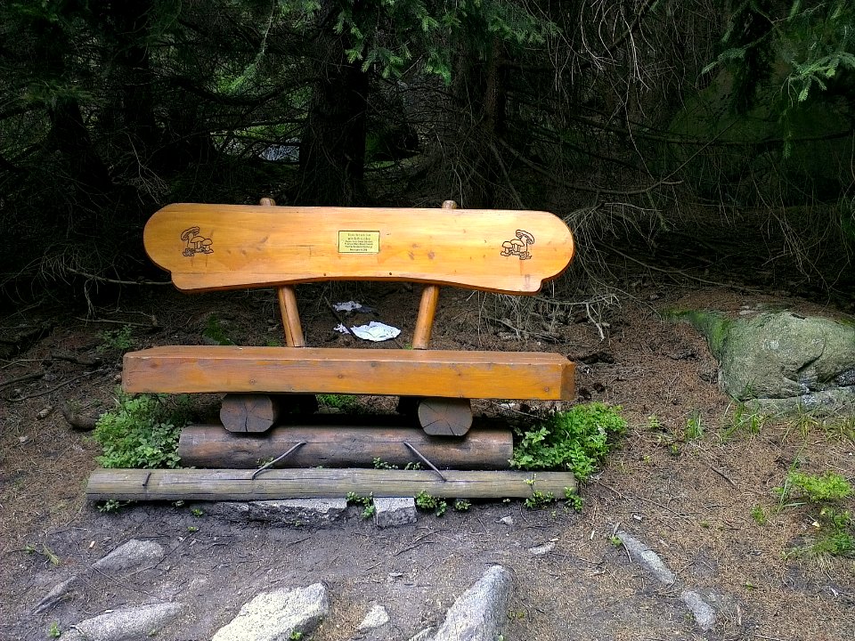 Steinerne Renne Bank