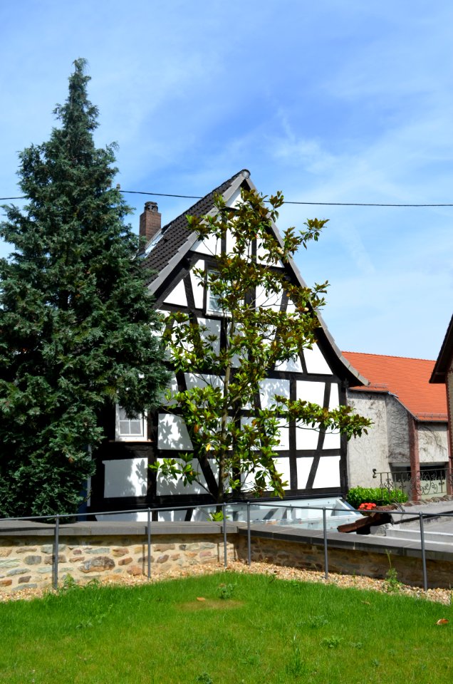 Steinbach, Bornhohl 8, Rückseite