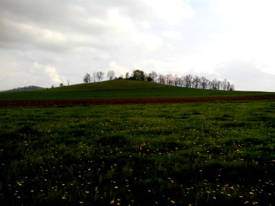 Steinberg Eckersdorf 2014