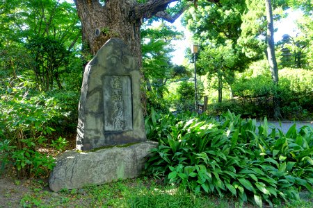 Stele - Old Yasuda Garden - Tokyo, Japan - DSC06471