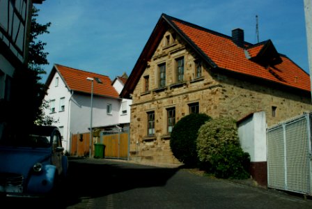 Stein-Bockenheim 20