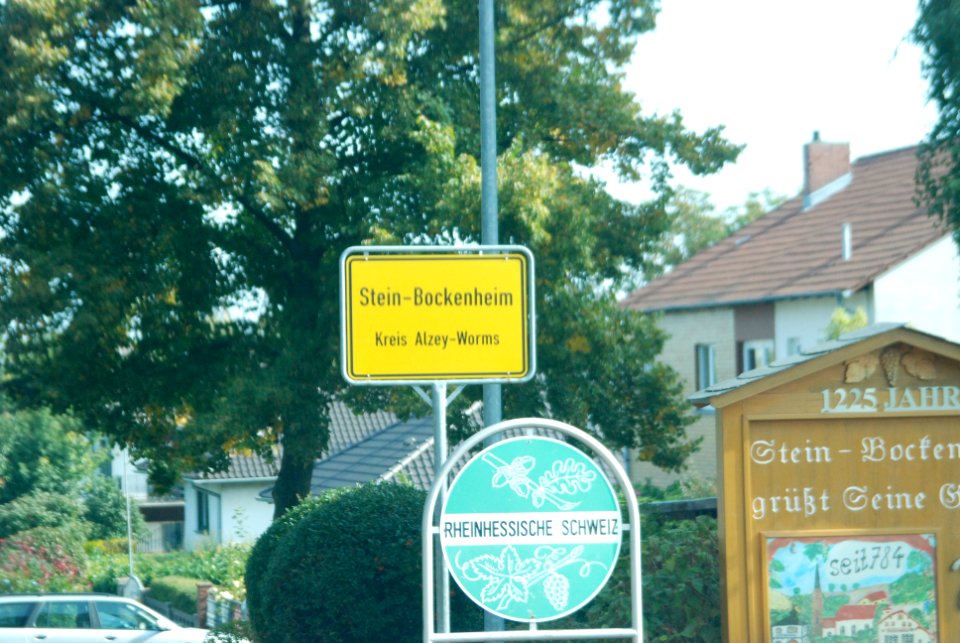 Stein-Bockenheim 13