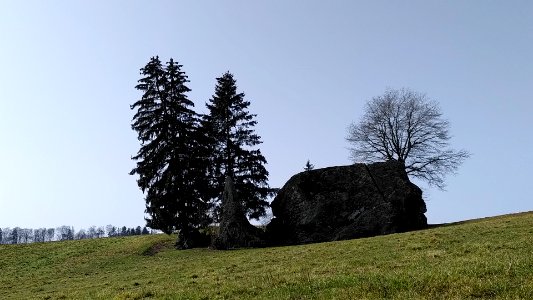 Steinhof SO - Findling Grosse Fluh