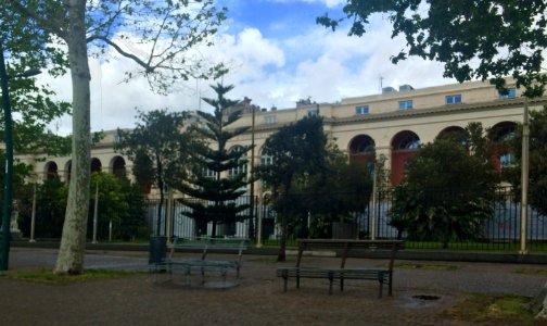 Stazione zoologica Dohrn (2016)
