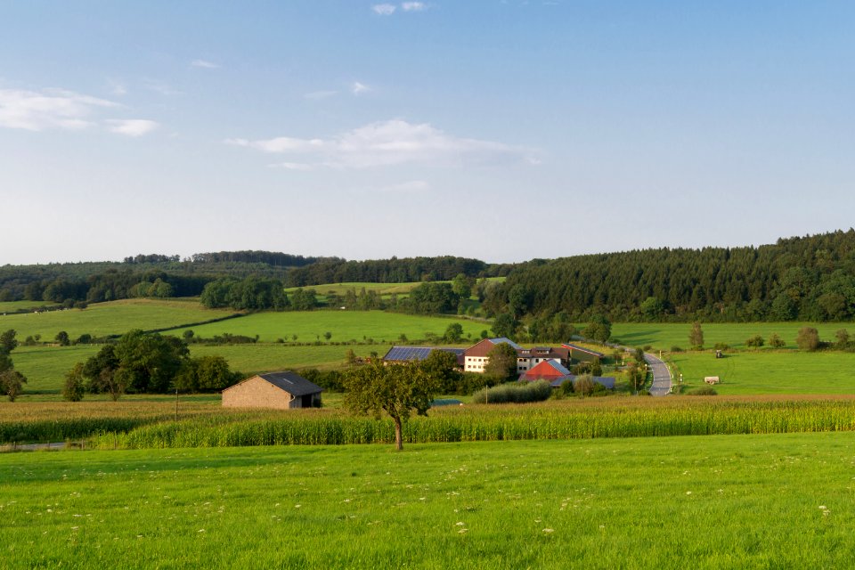 Steinheim-Sandebeck - 2014-08-07 - Ortsausgang nach Bergheim (02)