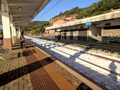 Stazione palmi binari12