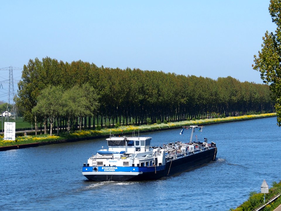 Stavordia, ENI 02332427 at the Amsterdam-Rhine canal, pic3