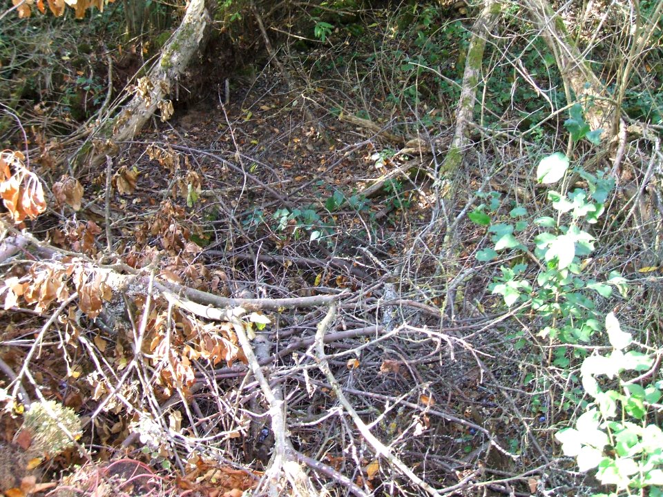 Steinlachsgraben Haufen Baumschnitt unten