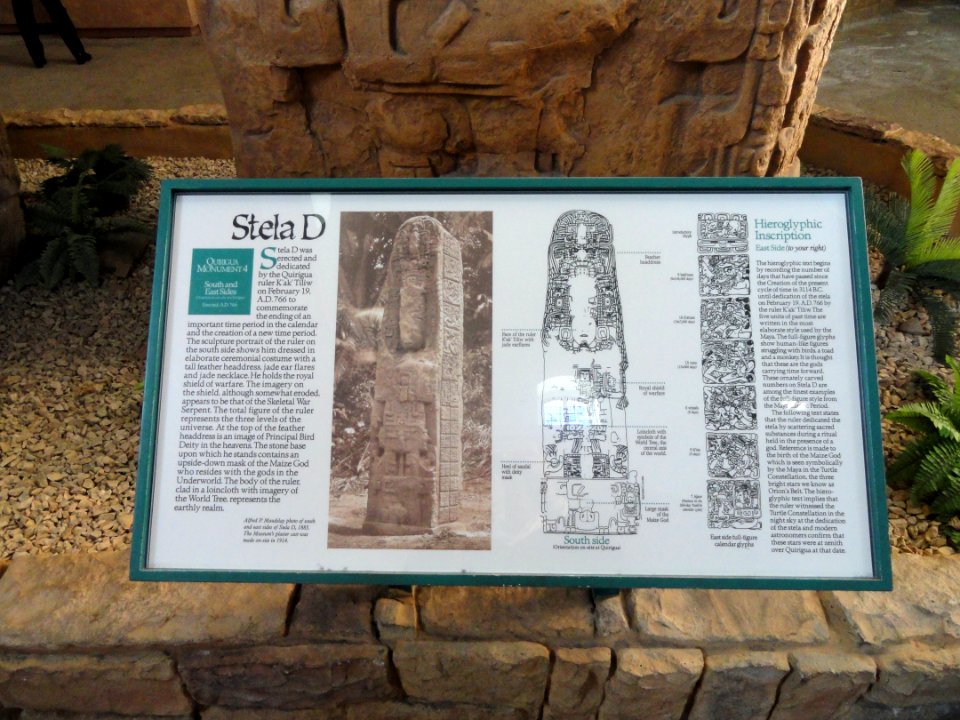 Stela D description 1 - San Diego Museum of Man - DSC06797