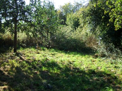Steinlachsgraben gepflegt bei Hochsitz 6