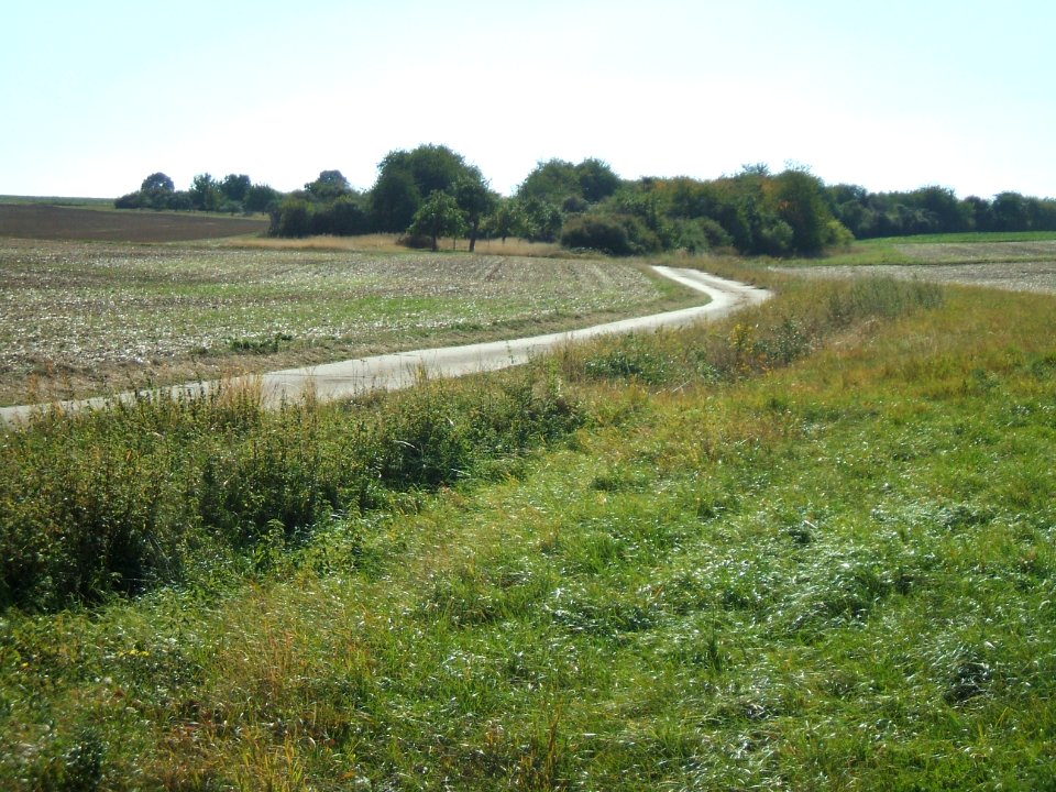Steinlachsgraben Kurve Blick aufwärts