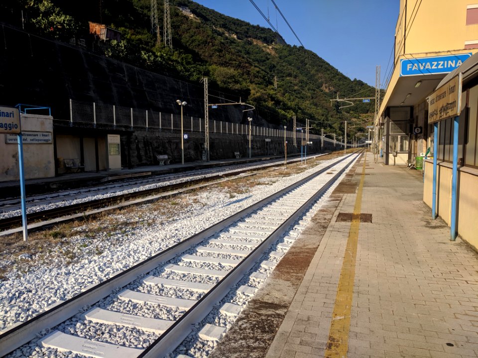 Stazione favazzina binari