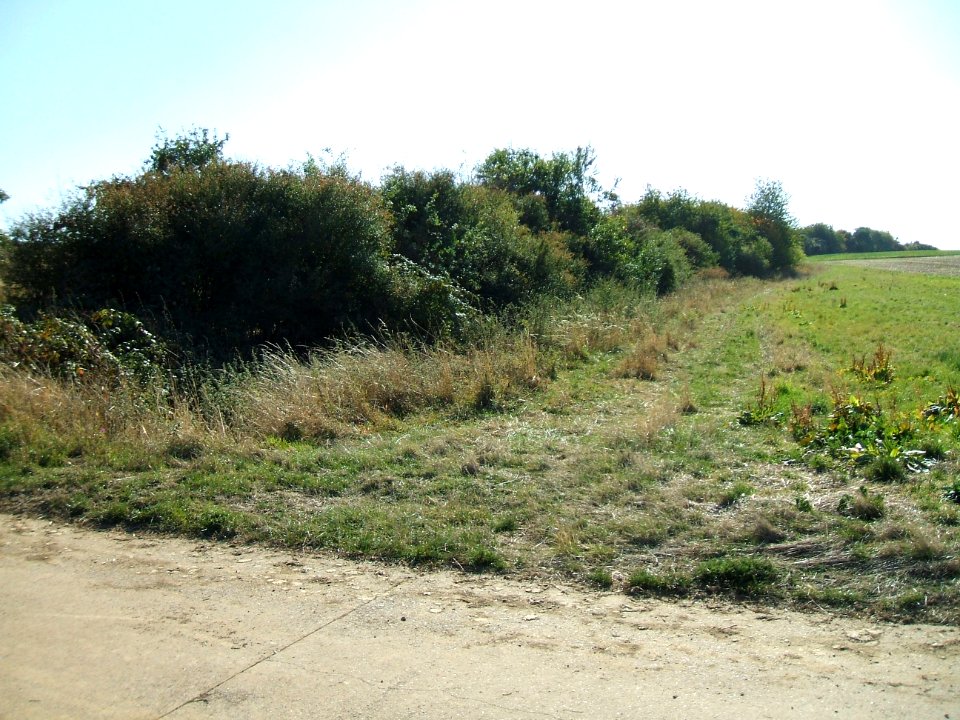 Steinlachsgraben nördlicher Rand