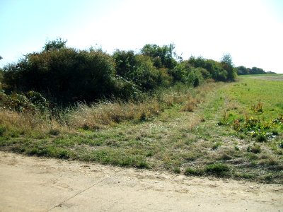 Steinlachsgraben nördlicher Rand