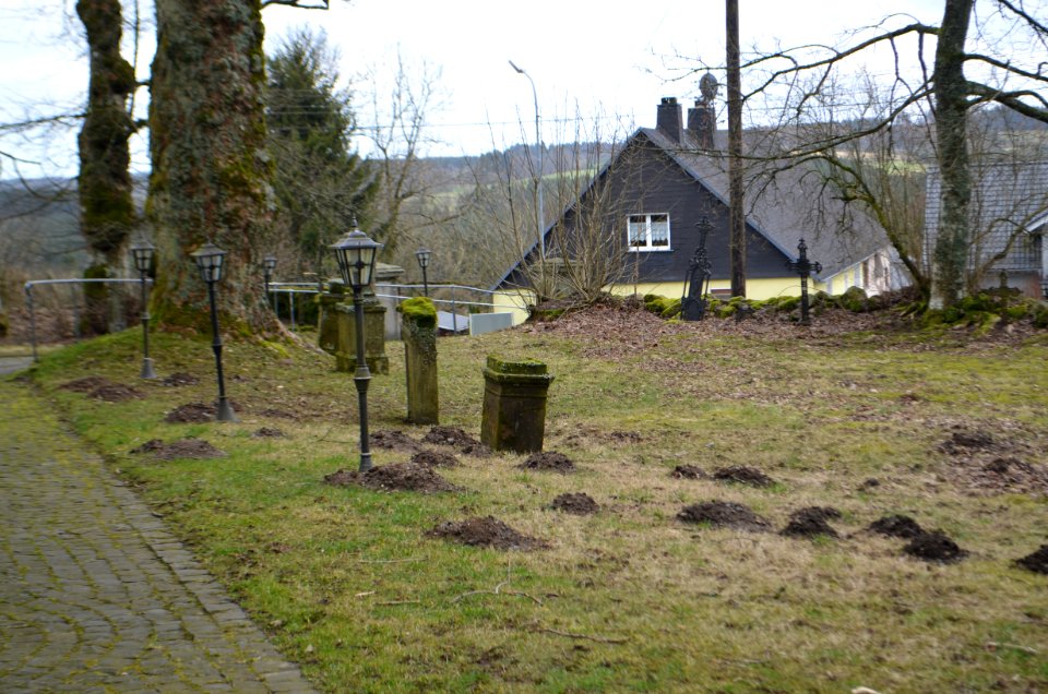 Stein-Neukirch, Neukirch, Kirche, Kirchhof, Gräber (1)