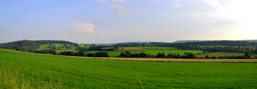 Steinheim-Sandebeck - 2014-08-07 - SO