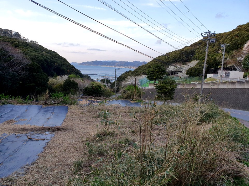 South coast of Tomiura, Chiba 11