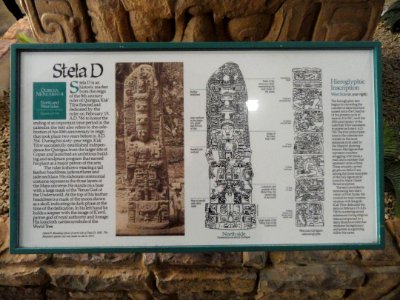Stela D description 2 - San Diego Museum of Man - DSC06810