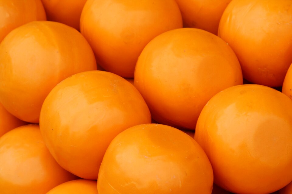 Food cheddar holland