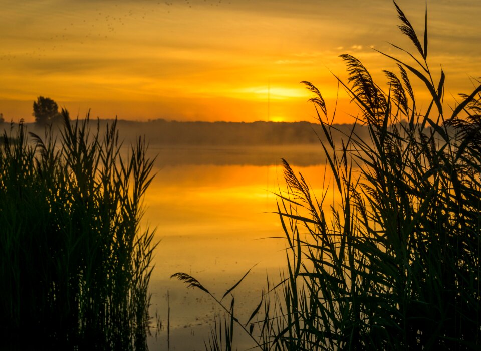 Nature meditation summer