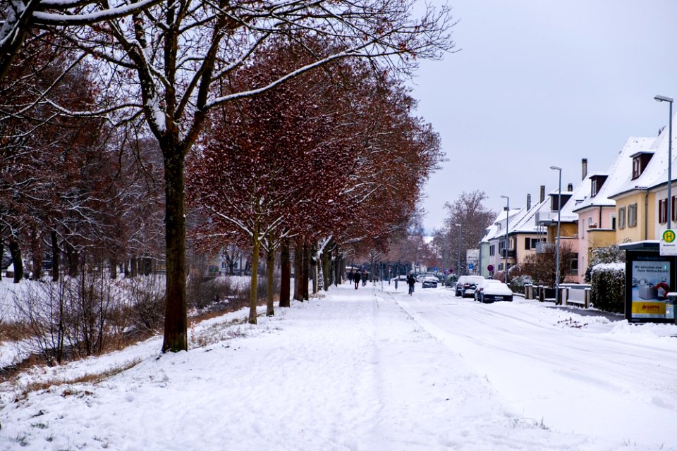 Steinlachallee-mit-Schnee