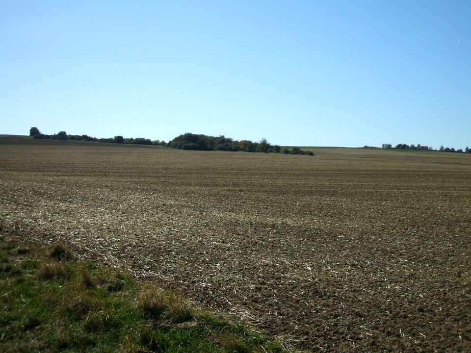 Steinlachsgraben Blick Gehölz 7