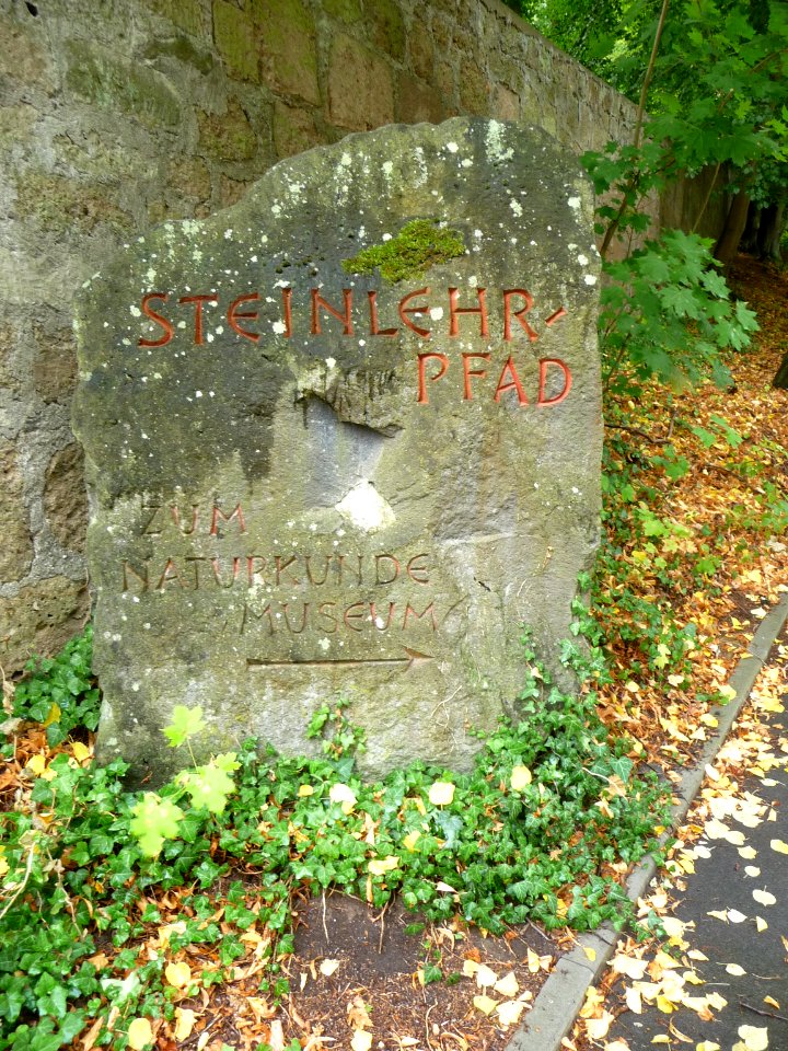 Steinlehrpfad Maria Laach