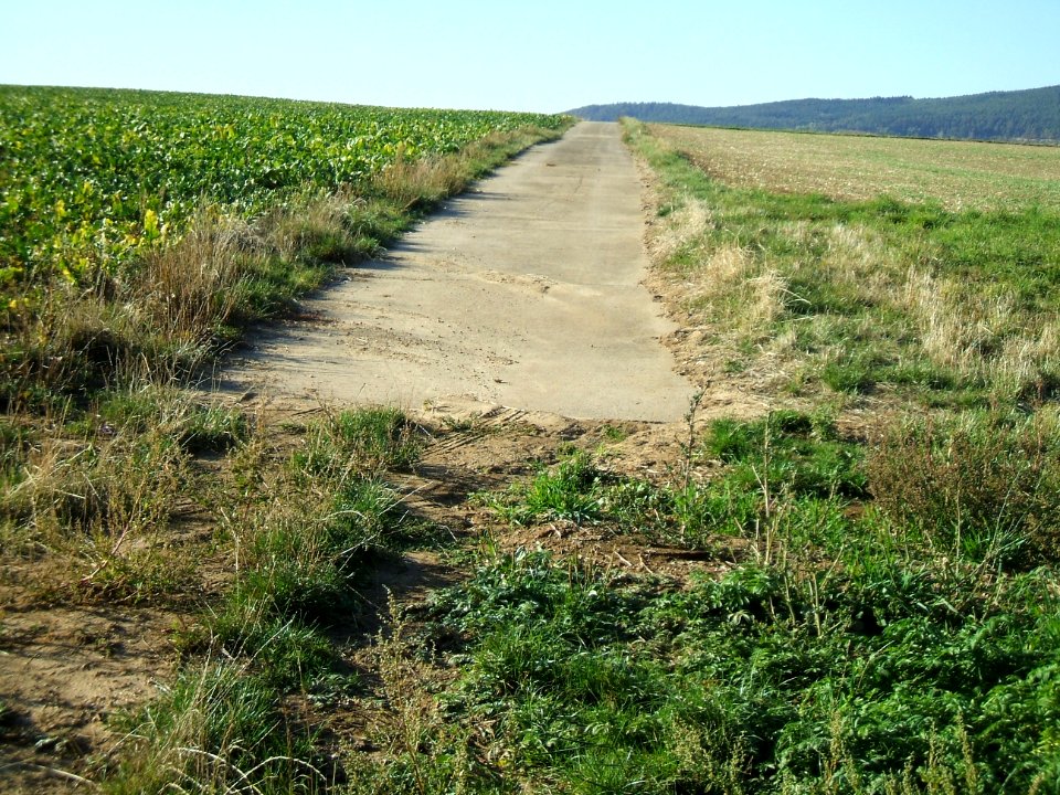 Steinlachsgraben Weg Abflüsse Rübenfeld 2
