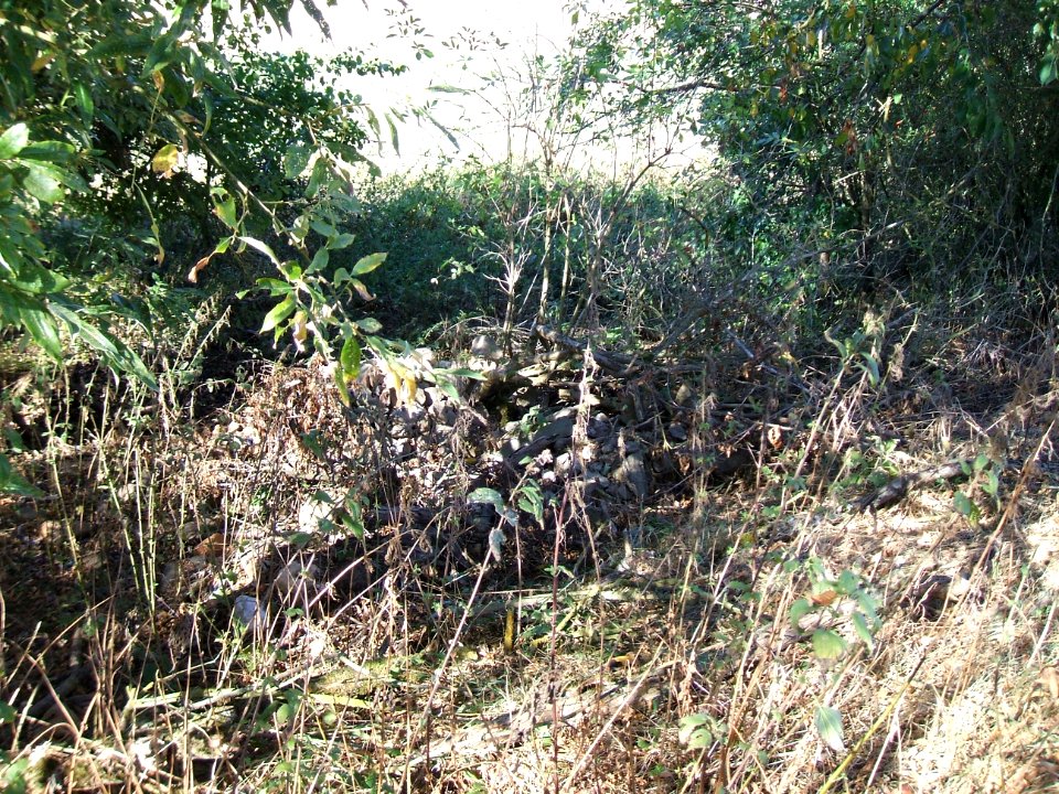 Steinlachsgraben Abfall unten