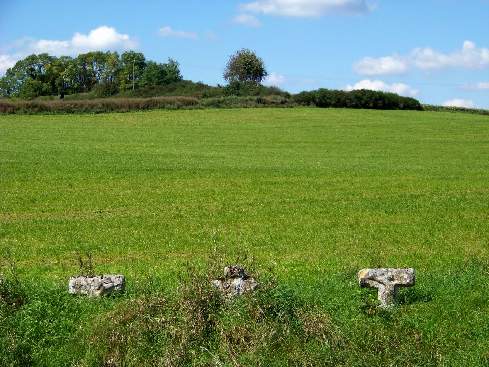 Steinkreuze-bei-Pullach-Lkr-Kehlheim