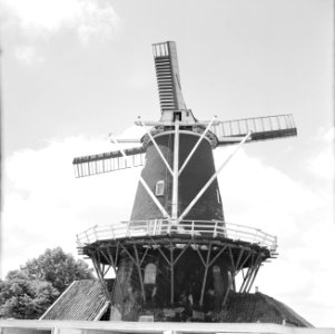 Stellingmolen bij Haren (Gr), Bestanddeelnr 254-5162