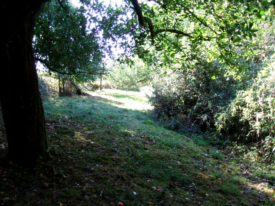 Steinlachsgraben gepflegt bei Hochsitz 5