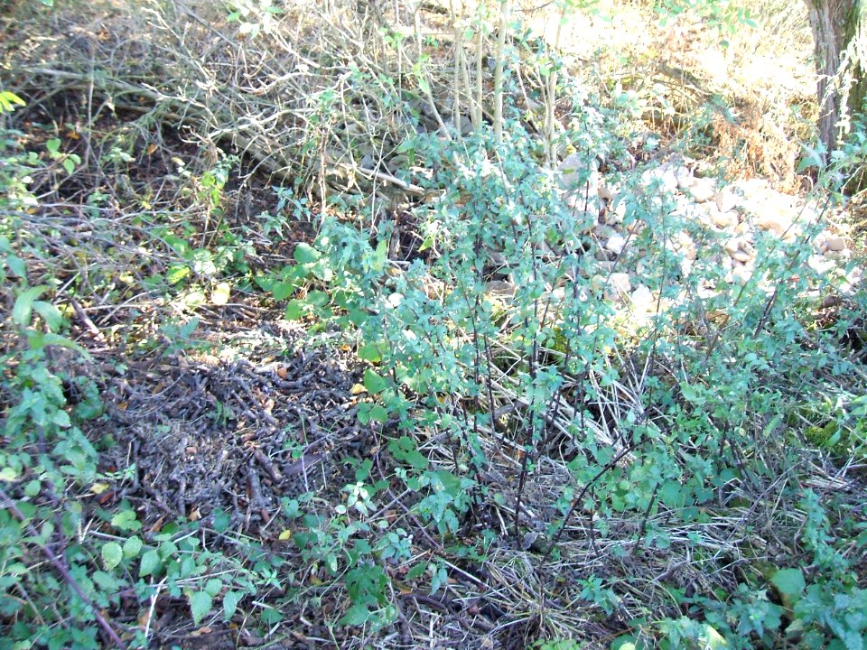 Steinlachsgraben Abfall etwas höher