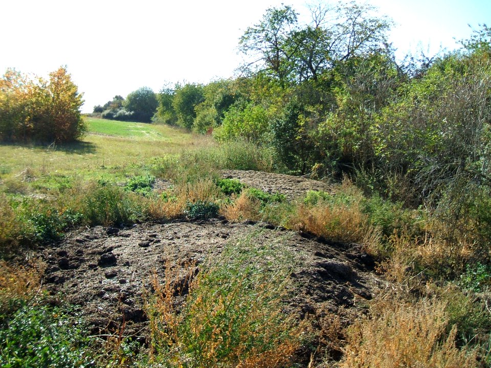 Steinlachsgraben unterer südlicher Rand