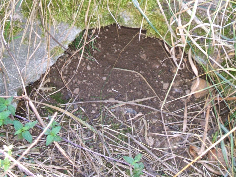 Steinlachsgraben oben Graben Auslass