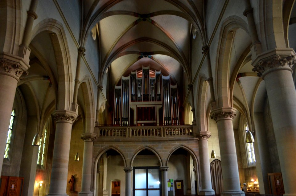 Tübingen, St. Johannes, Orgel