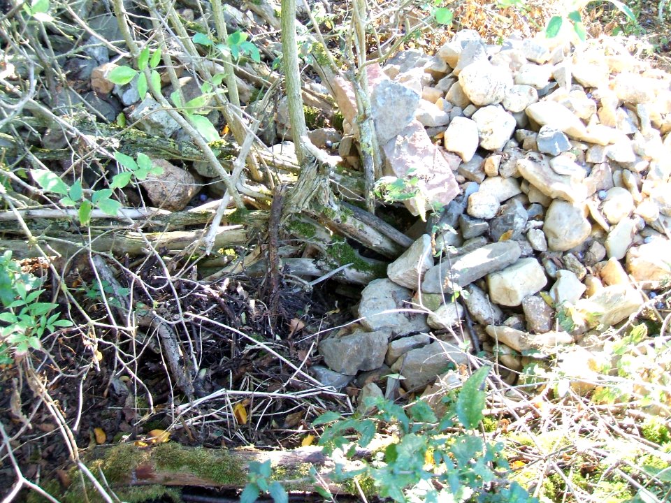 Steinlachsgraben Abfall unten Details