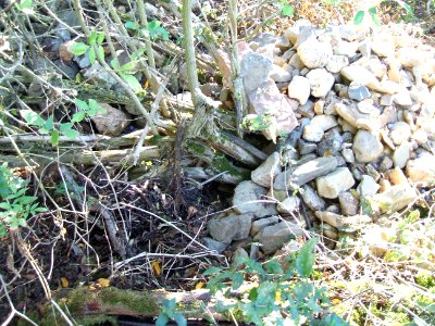 Steinlachsgraben Abfall unten Details