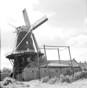 Stellingmolen bij Haren (Gr), Bestanddeelnr 254-5161