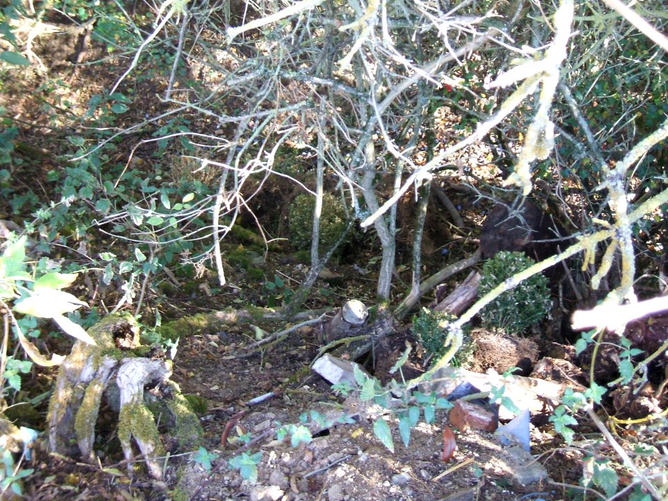 Steinlachsgraben Abfall am Muldenrand